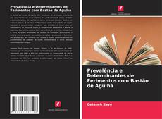 Prevalência e Determinantes de Ferimentos com Bastão de Agulha的封面