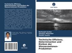 Portada del libro de Technische Effizienz, Determinanten und Risiken der Wassermelonen-Produktion