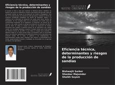 Couverture de Eficiencia técnica, determinantes y riesgos de la producción de sandías