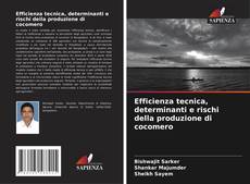 Capa do livro de Efficienza tecnica, determinanti e rischi della produzione di cocomero 
