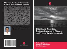 Buchcover von Eficiência Técnica, Determinantes e Riscos da Produção de Melancia