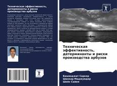 Buchcover von Техническая эффективность, детерминанты и риски производства арбузов