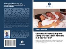Geburtsvorbereitung und Komplikationsbereitschaft in Südäthiopien kitap kapağı