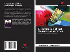 Copertina di Determination of fuel consumption variation