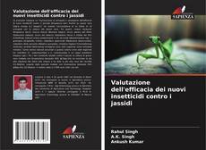Buchcover von Valutazione dell'efficacia dei nuovi insetticidi contro i jassidi