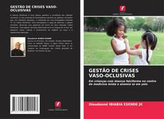 GESTÃO DE CRISES VASO-OCLUSIVAS kitap kapağı