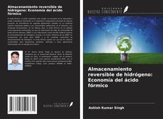 Almacenamiento reversible de hidrógeno: Economía del ácido fórmico kitap kapağı