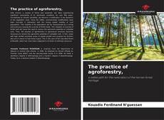 Copertina di The practice of agroforestry,