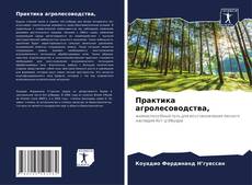 Buchcover von Практика агролесоводства,