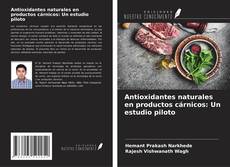 Buchcover von Antioxidantes naturales en productos cárnicos: Un estudio piloto