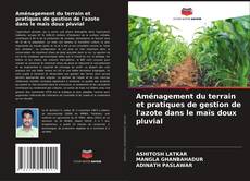 Portada del libro de Aménagement du terrain et pratiques de gestion de l'azote dans le maïs doux pluvial