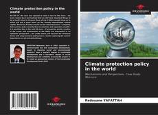 Copertina di Climate protection policy in the world