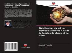 Couverture de Stabilisation du sol par méthode chimique à l'aide de fumées de chaux et de silice