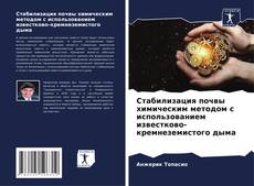 Bookcover of Стабилизация почвы химическим методом с использованием известково-кремнеземистого дыма