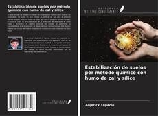 Capa do livro de Estabilización de suelos por método químico con humo de cal y sílice 
