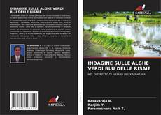 Bookcover of INDAGINE SULLE ALGHE VERDI BLU DELLE RISAIE