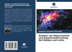 Bookcover of Analyse von Naturzustand und Gesellschaftsvertrag bei Hobbes und Locke