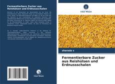 Capa do livro de Fermentierbare Zucker aus Reishülsen und Erdnussschalen 