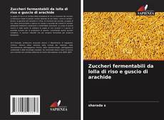 Capa do livro de Zuccheri fermentabili da lolla di riso e guscio di arachide 