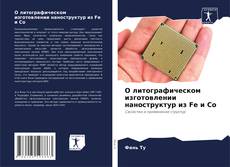 Buchcover von О литографическом изготовлении наноструктур из Fe и Co