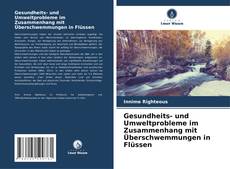 Capa do livro de Gesundheits- und Umweltprobleme im Zusammenhang mit Überschwemmungen in Flüssen 