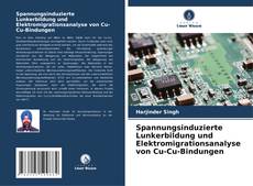 Spannungsinduzierte Lunkerbildung und Elektromigrationsanalyse von Cu-Cu-Bindungen kitap kapağı