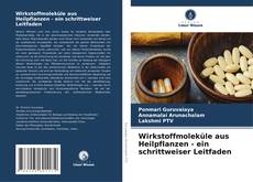 Bookcover of Wirkstoffmoleküle aus Heilpflanzen - ein schrittweiser Leitfaden