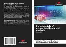 Buchcover von Fundamentals of accounting theory and analysis