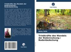 Triebkräfte des Wandels der Bodennutzung / Bodenbedeckung kitap kapağı