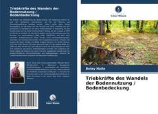 Triebkräfte des Wandels der Bodennutzung / Bodenbedeckung的封面