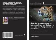 Buchcover von Gestión endógena de la fauna salvaje en Gabón: el caso de los fang ntumu y nzamane