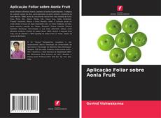Portada del libro de Aplicação Foliar sobre Aonla Fruit