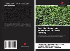 Portada del libro de Arachis pintoi, an alternative in cattle feeding