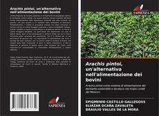 Buchcover von Arachis pintoi, un'alternativa nell'alimentazione dei bovini