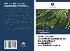 Portada del libro de ESBL- und MBL-vermittelte Resistenz bei gramnegativen bakteriellen Krankheitserregern