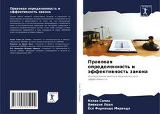 Buchcover von Правовая определенность и эффективность закона