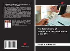 Copertina di The determinants of remuneration in a public entity in the DRC