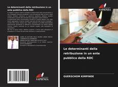 Bookcover of Le determinanti della retribuzione in un ente pubblico della RDC