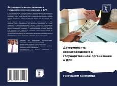 Buchcover von Детерминанты вознаграждения в государственной организации в ДРК