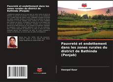 Couverture de Pauvreté et endettement dans les zones rurales du district de Bathinda (Penjab)