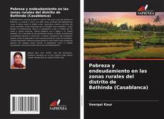 Bookcover of Pobreza y endeudamiento en las zonas rurales del distrito de Bathinda (Casablanca)