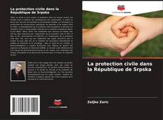 Portada del libro de La protection civile dans la République de Srpska