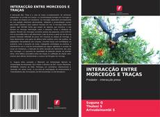 INTERACÇÃO ENTRE MORCEGOS E TRAÇAS kitap kapağı