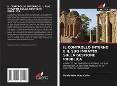 IL CONTROLLO INTERNO E IL SUO IMPATTO SULLA GESTIONE PUBBLICA kitap kapağı