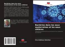 Portada del libro de Bactéries dans les eaux souterraines et les eaux côtières