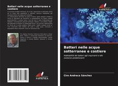 Bookcover of Batteri nelle acque sotterranee e costiere