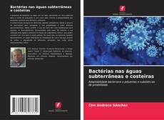 Copertina di Bactérias nas águas subterrâneas e costeiras