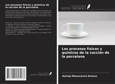 Copertina di Los procesos físicos y químicos de la cocción de la porcelana