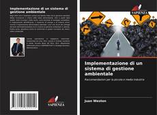 Bookcover of Implementazione di un sistema di gestione ambientale