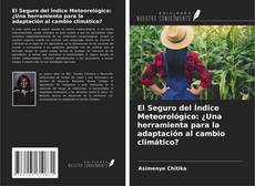 Portada del libro de El Seguro del Índice Meteorológico: ¿Una herramienta para la adaptación al cambio climático?
